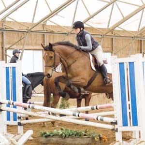 Meet your Posher, Brandy